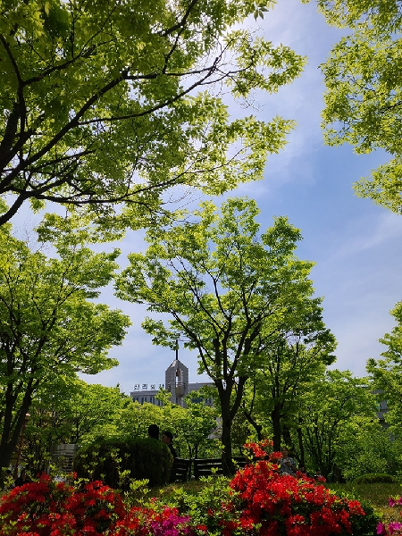 전경-봄 대표이미지